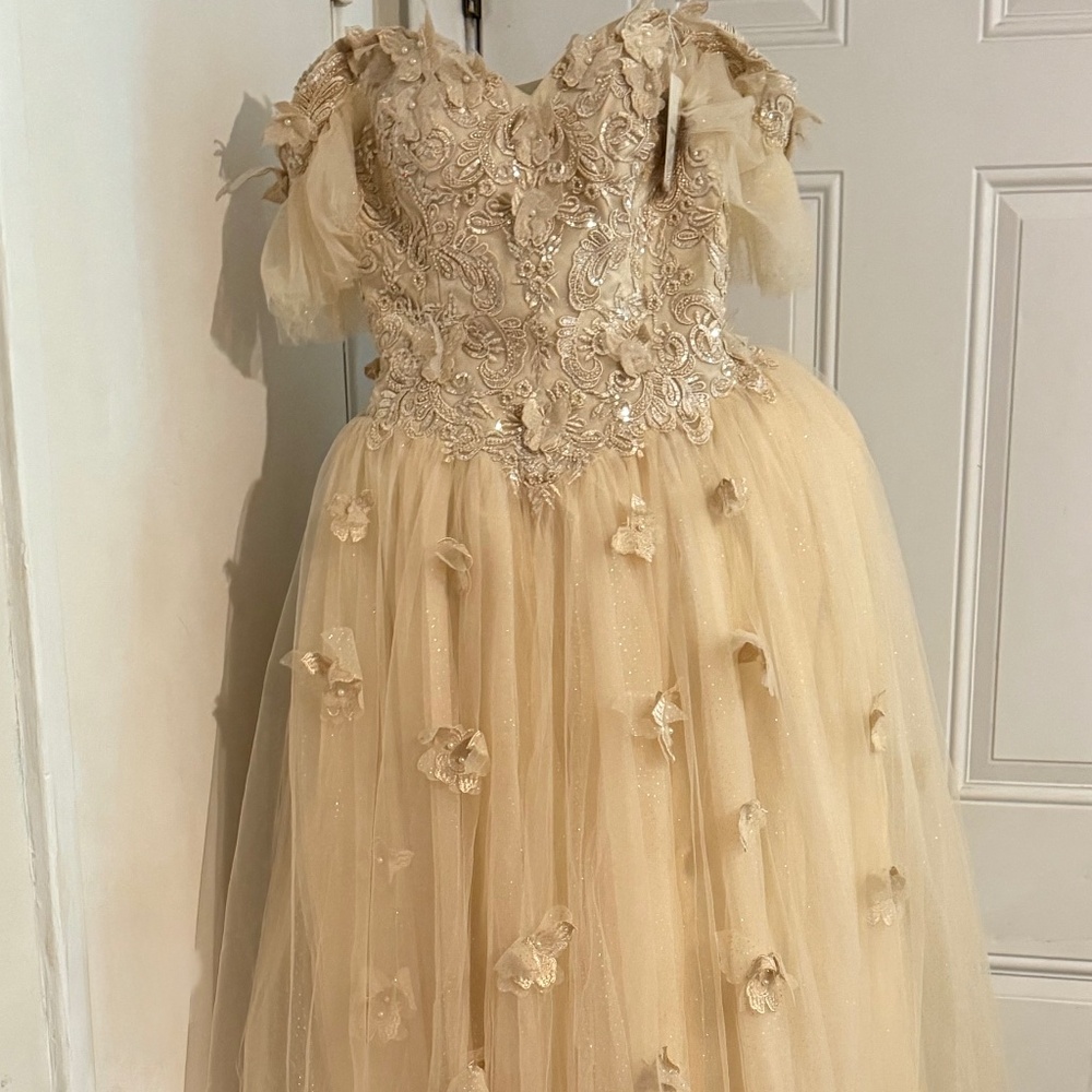 Fairytale gown-size 8 (will fit 6-10)